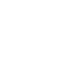 Mystery Shopper